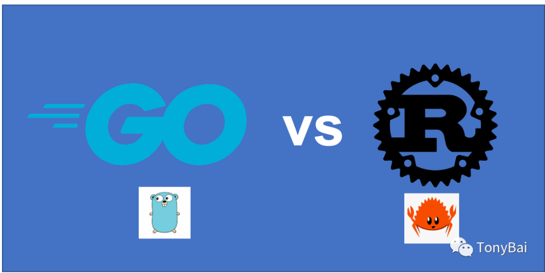 Rust Vs Go 为什么强强联合会更好 开发者头条