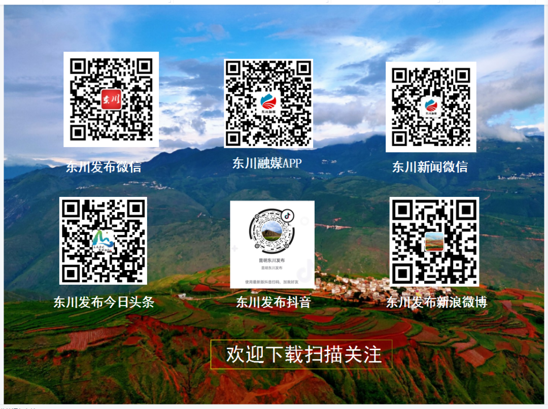 防诈宣传品|红包主持人还能挣钱？快么这是诈欺！(图26)