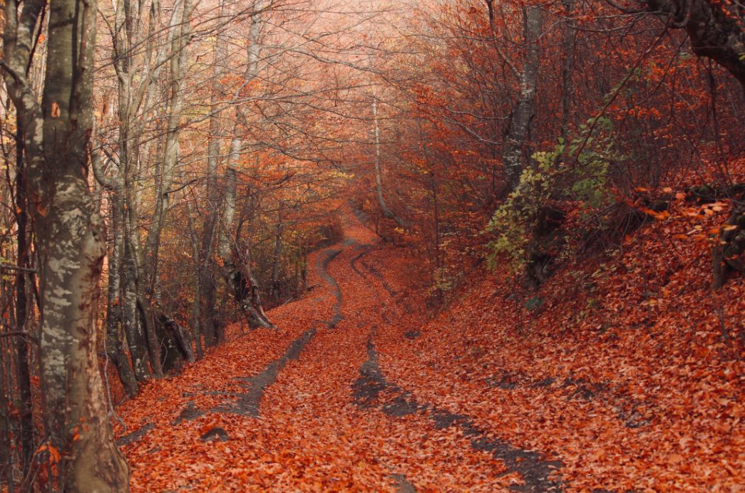【早听】愿你快乐每一天