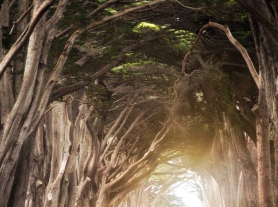 2019最后半个月，大总结（太精辟了！）