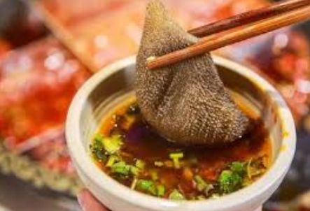 震惊！2017-2019，新加坡变化太太太太太大了！