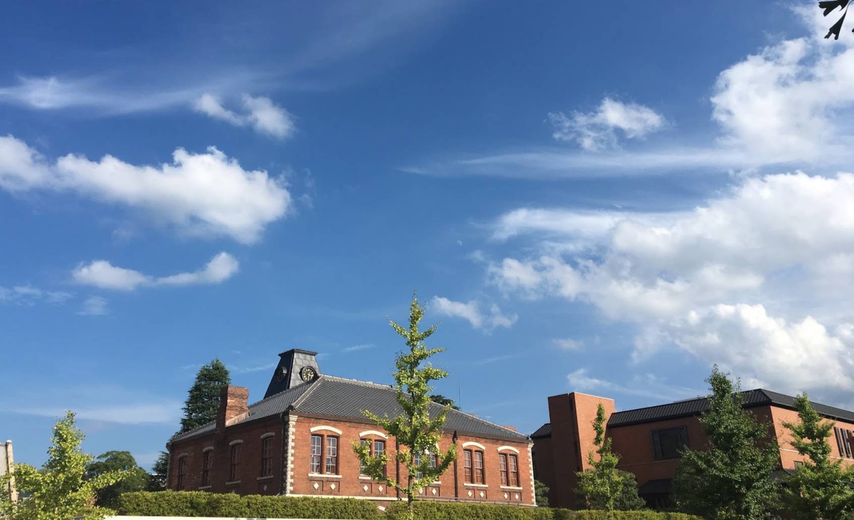 合格速报 关关同立 前期ta第一学研学子合格速报 内有福利 自由微信 Freewechat