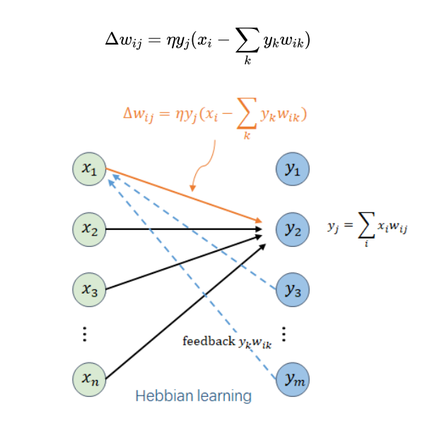 激活学习：一种挑战反向传播的生物启发算法的图3