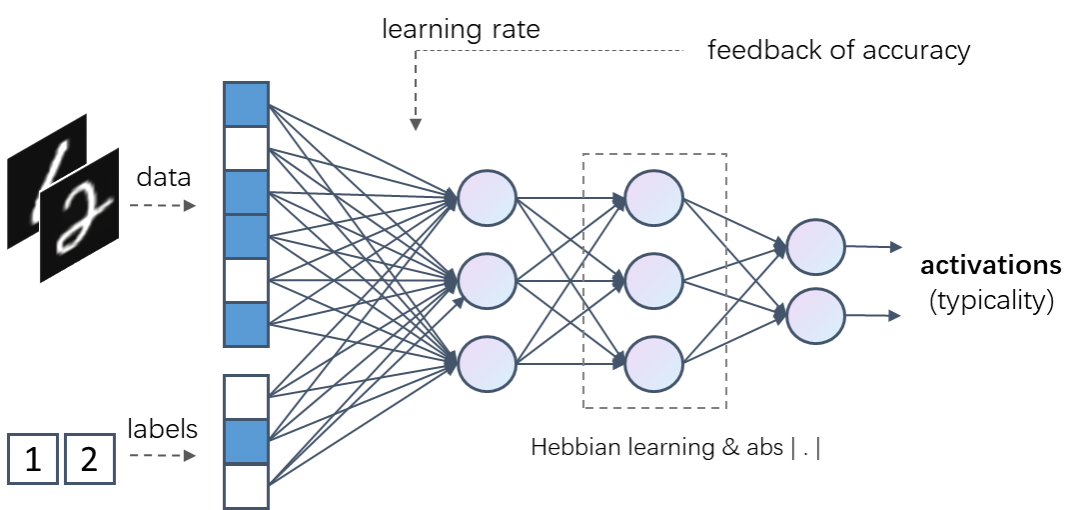 激活学习：一种挑战反向传播的生物启发算法的图2