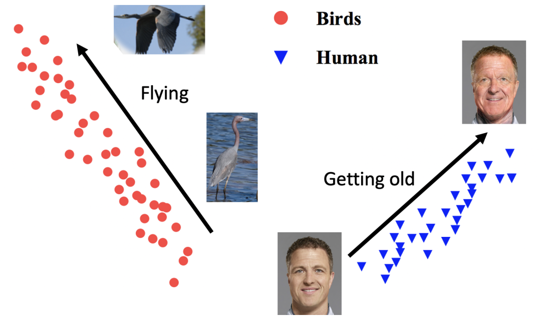 换个损失函数就能实现数据扩增？的图10