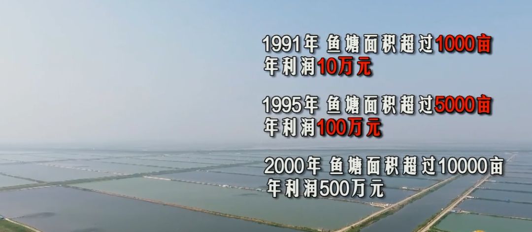 致富经养鱼一年多赚1000万_致富养鱼视频_养鱼致富经