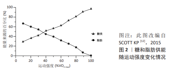 减肥运动心率控制在多少为好_减肥运动方案_运动减肥