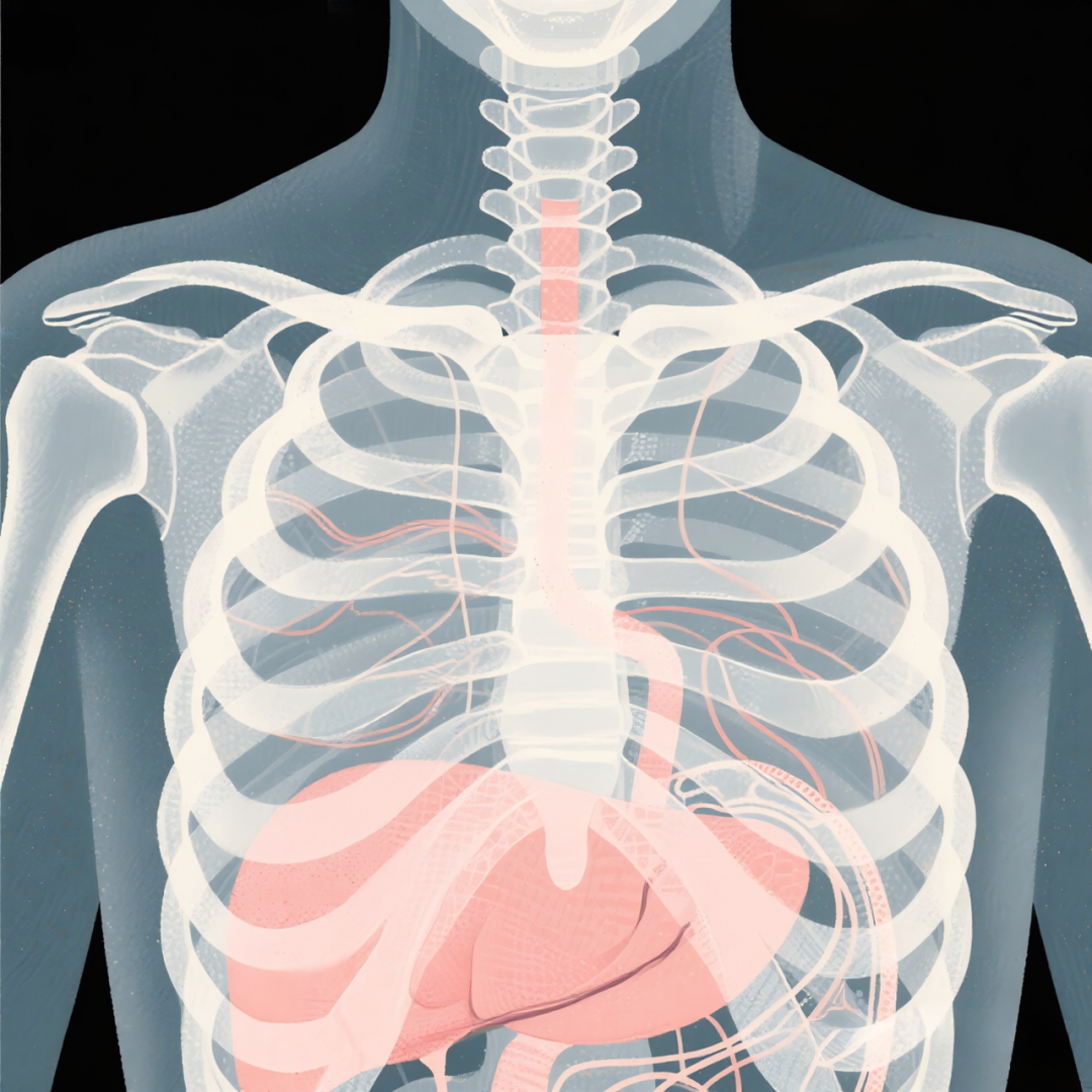 dr数字怎么用让盲盒不再“盲”！揭秘DR数字胸片的透视超能力_https://www.jmylbn.com_新闻资讯_第3张