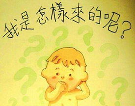 9号染色体倒位必须做试管吗_染色体试管_试管染色体检查结果解读