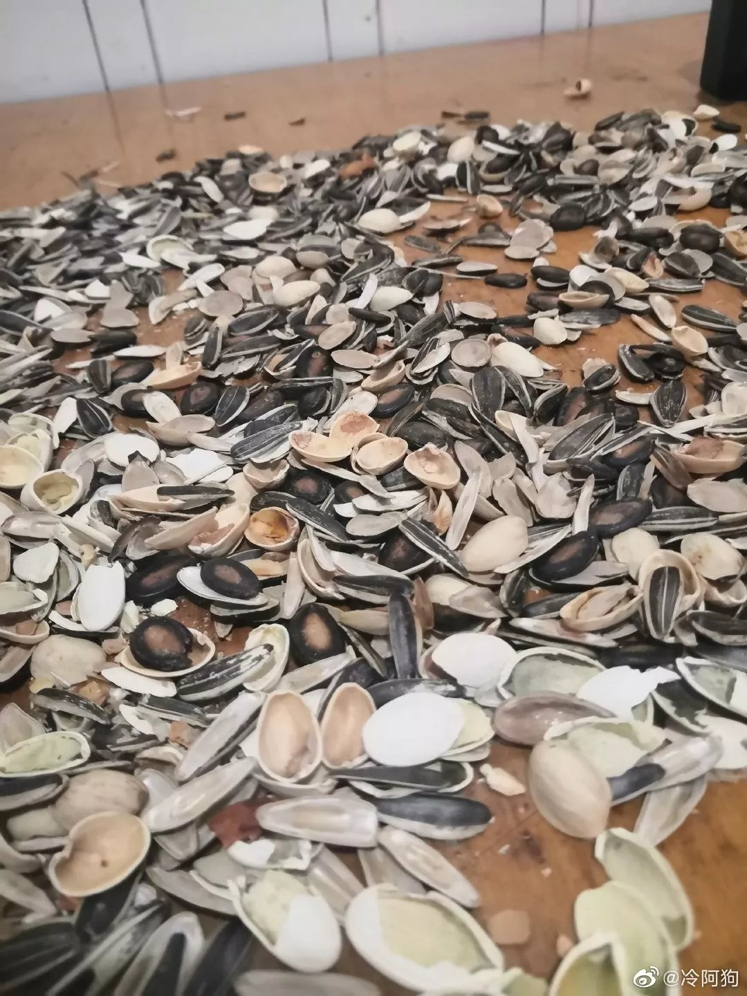 瓜子|夫妻俩双双患癌，中晚期！退休两年，每天一斤......