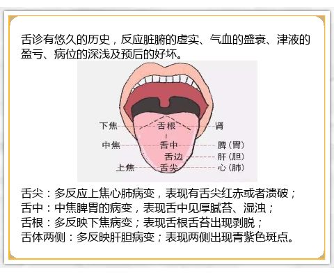 中医舌诊暗藏玄机 对照自测一下 中医舌诊健康养生 微信公众号文章阅读 Wemp