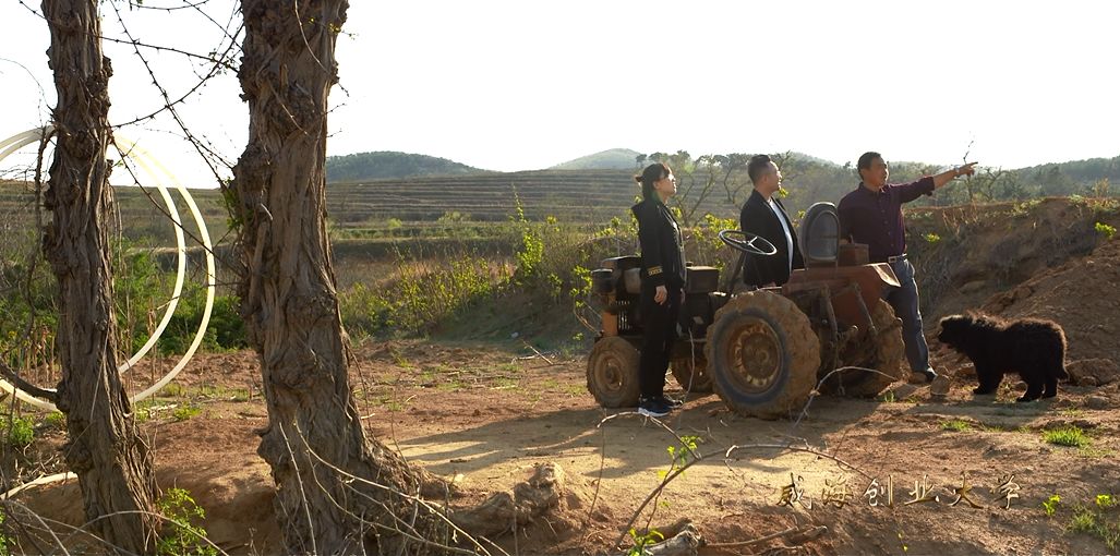 大学生兼职平台创业项目计划书_环保公益项目创业计划_大学生创业计划竞赛策划书