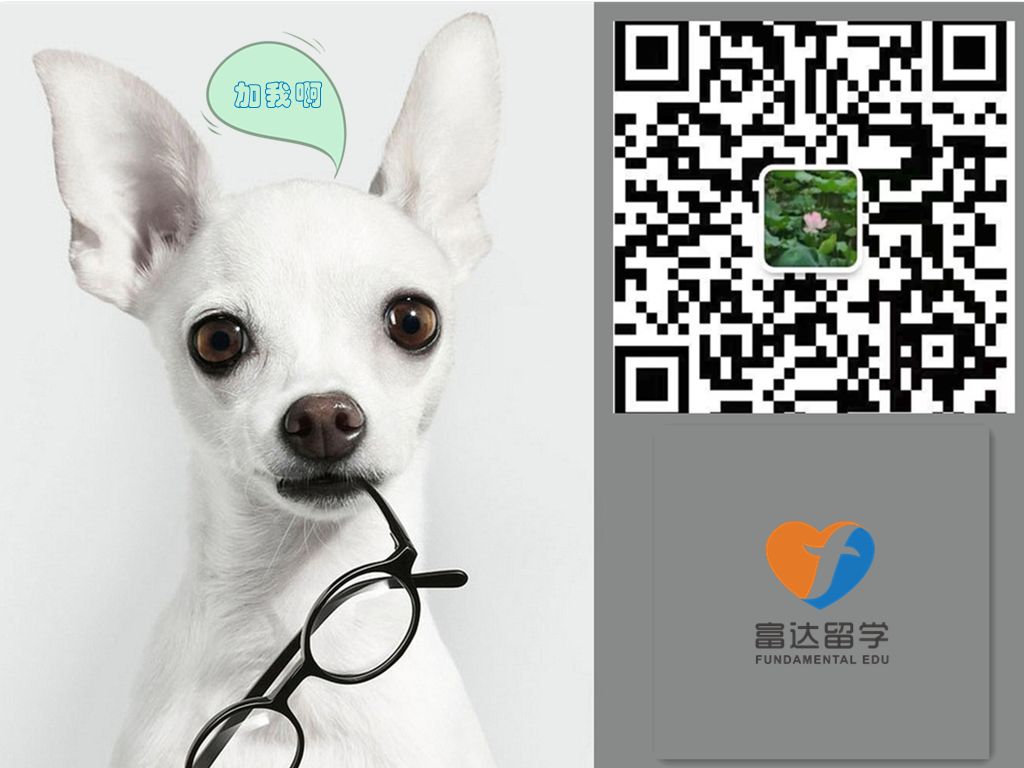 华威大学WMG学院-国际技术管理硕士