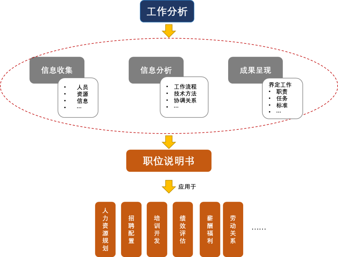 hr如何进行工作分析步骤详解非常实用