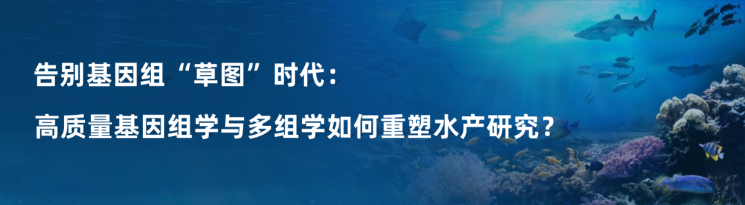 �嶨���-4.png