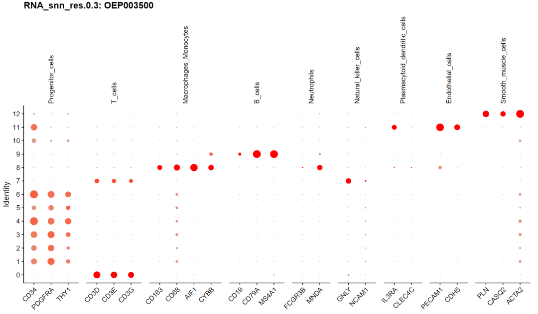 image-20250608234029479