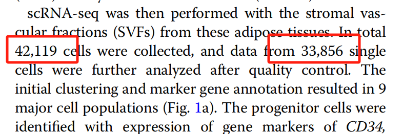 image-20250608232941343