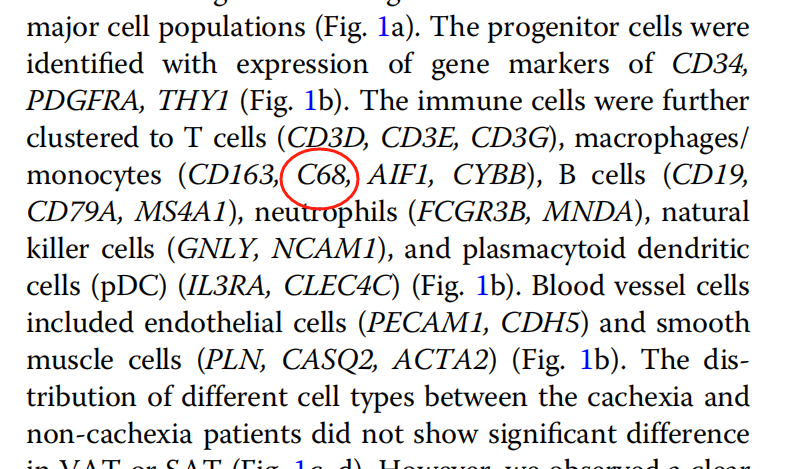 image-20250608233907758