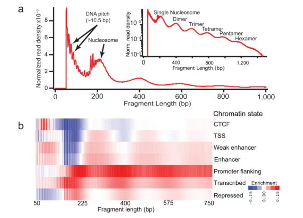 https://pubmed.ncbi.nlm.nih.gov/24097267/#&gid=article-figures&pid=figure-2-uid-1