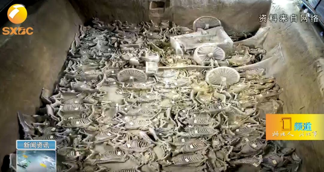 秦公一号大墓文物_秦公一号大墓主人是谁_秦公一号大墓