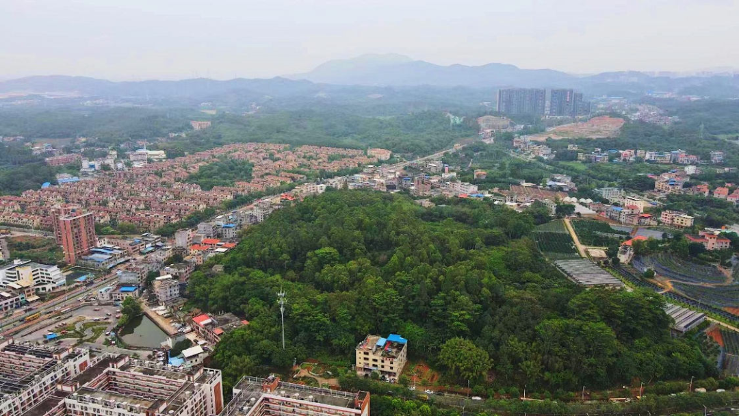 广州中新板块天健东玥台，2.1万平？