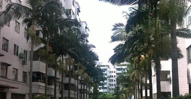 【二手笋盘】广州天河北金富苑，低价精装两房+龙口西学位