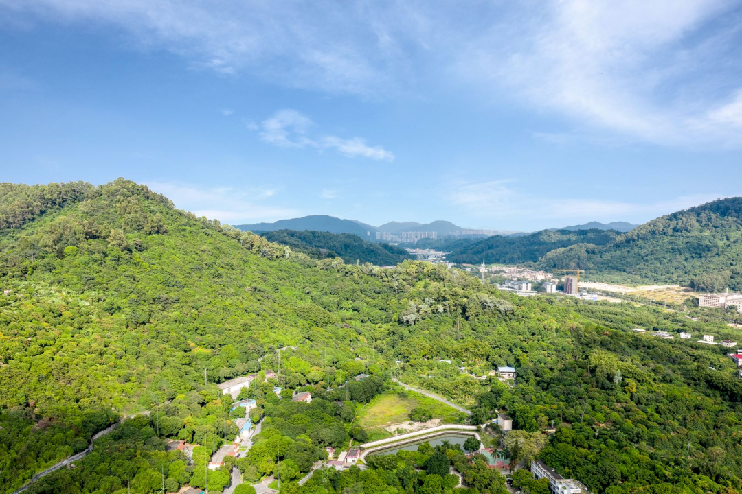 融创翔龙广府壹号加推7栋，4.8万/平?