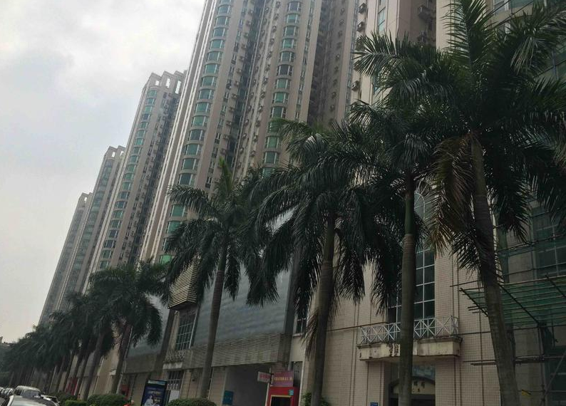 【二手笋盘】广州天河北东方之珠花园，业主以低于市场价出售