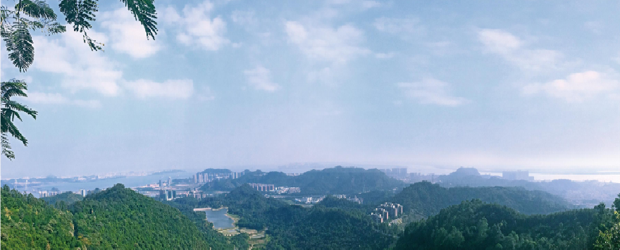 南沙星河智荟，总价179万，现楼+地铁口！