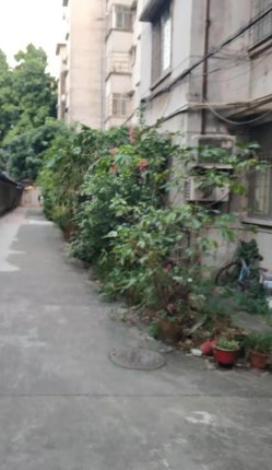 广州五山路电力宿舍怎么样?值不值得买？