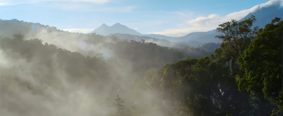 200万㎡富力富云山*发在即！将推120-180㎡的三*四房