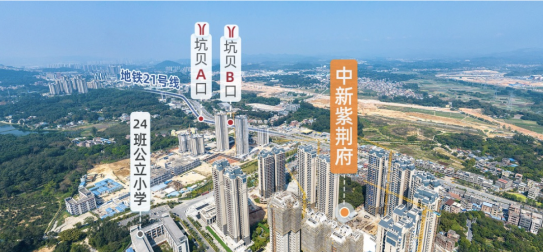增城中新紫荆府正式开盘，值不值得入手？