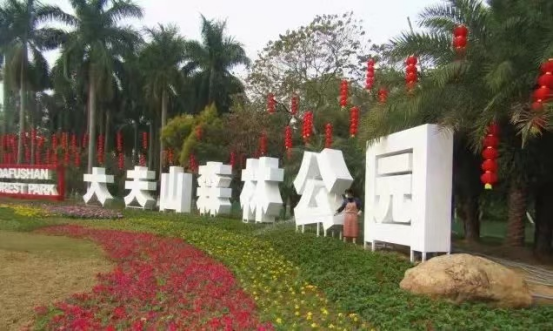 广州南站VS佛山三山，单价4W+，买房你选谁？