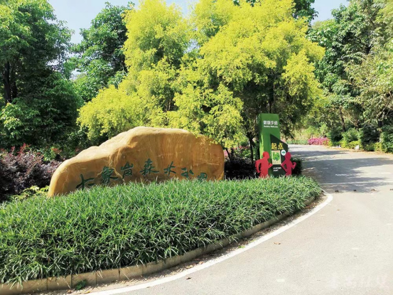 广州南站VS佛山三山，单价4W+，买房你选谁？