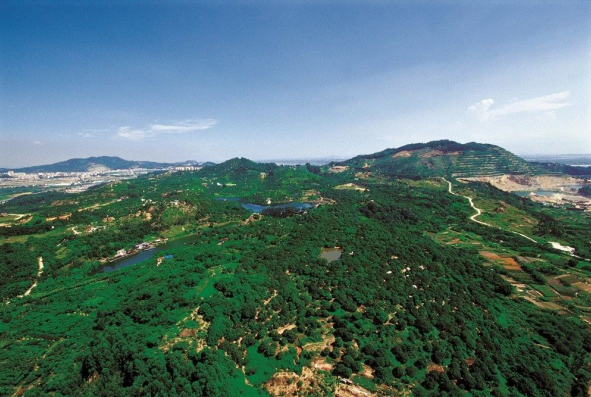 南沙中国铁建海语熙岸值不值得买？周边配套怎么样？