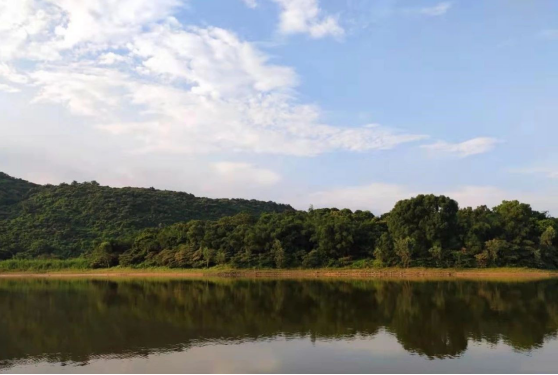 南沙中国铁建海语熙岸值不值得买？周边配套怎么样？