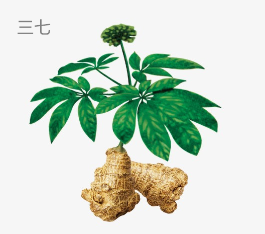 消肿止痛的中成药，被誉为中医的消炎药