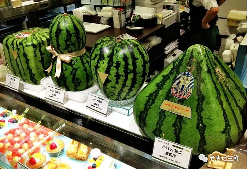 关于 日本西瓜产地 品种 售卖 成为品牌的秘密 您见过西瓜清洗机吗 老唐话生鲜 微信公众号文章阅读 Wemp