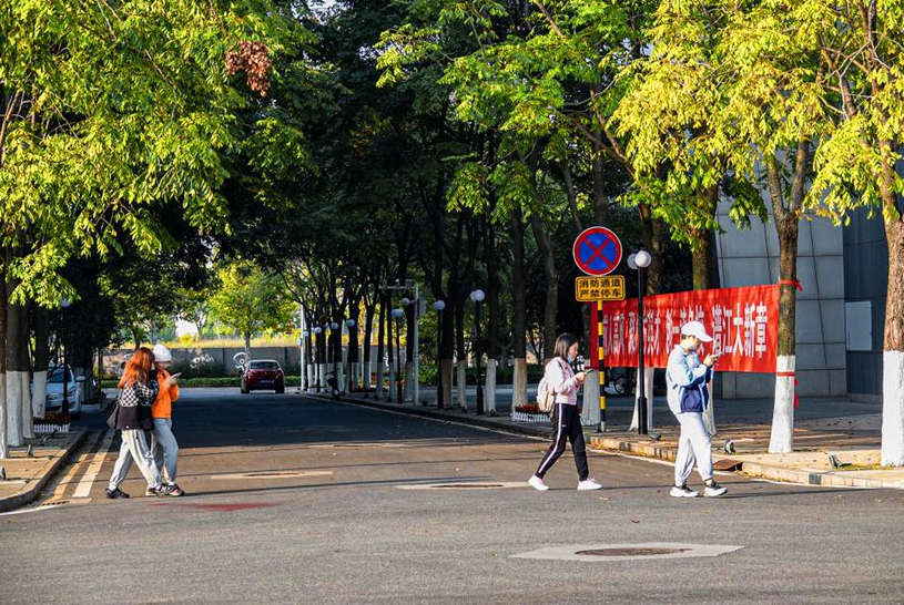 美翻了!武漢秋天最好的樣子,就在這些校園里