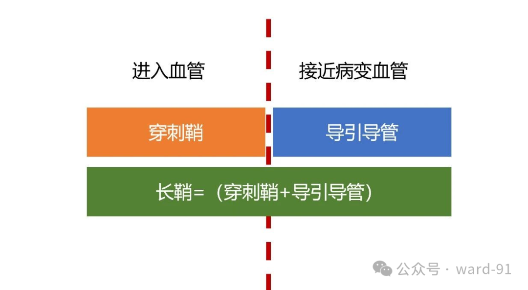 什么叫导引导管日问1715.《神介常识手册》第22期.什么是导引导管？_https://www.jmylbn.com_新闻资讯_第7张