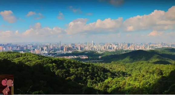 番禺电建洺悦玉府今天开放样板间房！值不值得买？