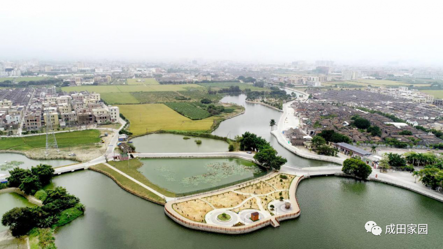 全国脱贫攻坚总结表彰大会在京举行,成田镇党委获表彰!