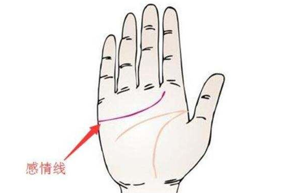 手相感情线是哪一条线_手相线感情线_感情线手相