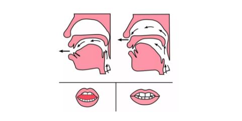 小学低年级前后鼻音发音技巧