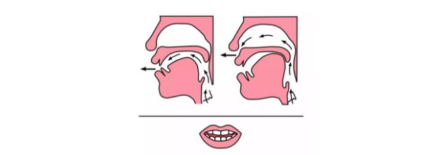 an:an由前"a"开始发音,舌尖活动是顶下齿背到抵上牙龈部分,舌面稍升