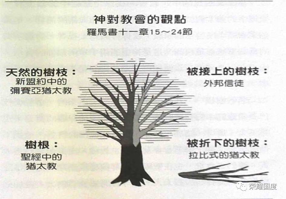 恢复犹太根源 弥赛亚教会正兴起 第二章树根与树枝 自由微信 Freewechat