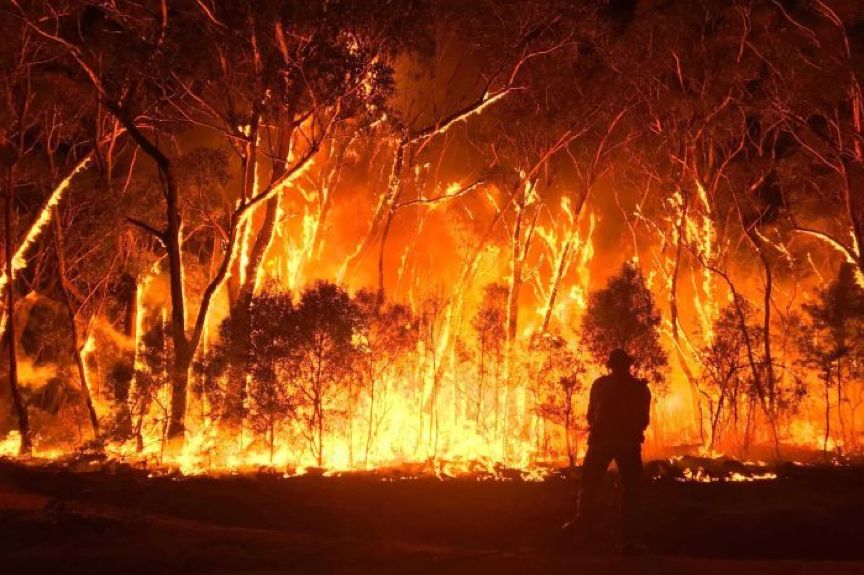 澳洲山火肆虐，专家称居民每年交200澳币就能解决！气候成本究竟值多少？