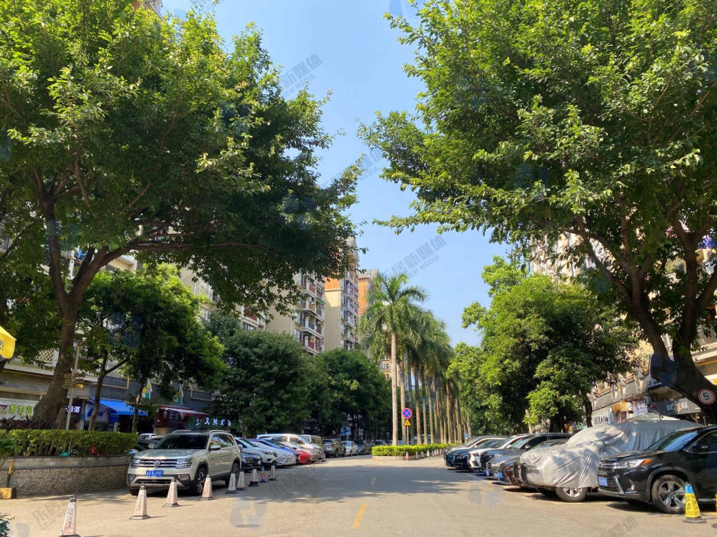 6站到珠城，海珠西这里仅“3字头”