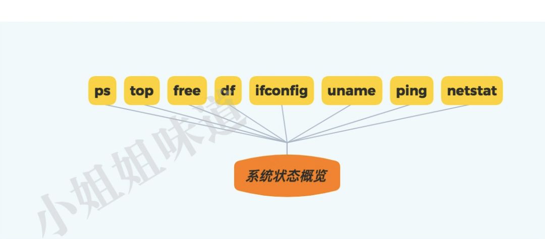 linux打开文件内容命令_linux常见的命令解析器