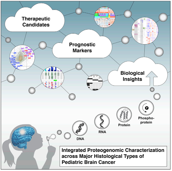 蛋白基因組學再登cell首次全面揭示小兒腦癌發生機制和治療靶標